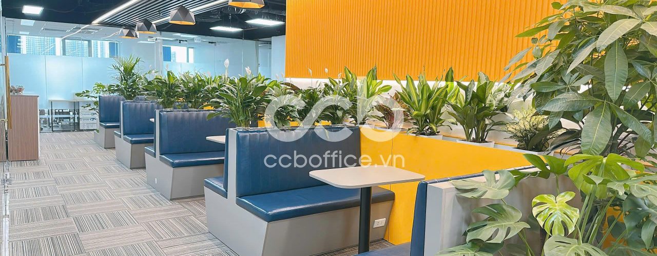 Văn phòng cho thuê Duy Tân, Cầu Giấy