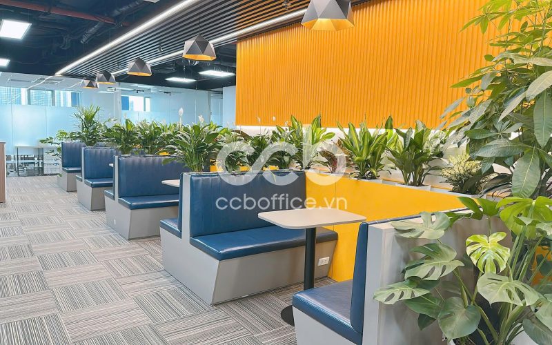 Văn phòng cho thuê Duy Tân, Cầu Giấy